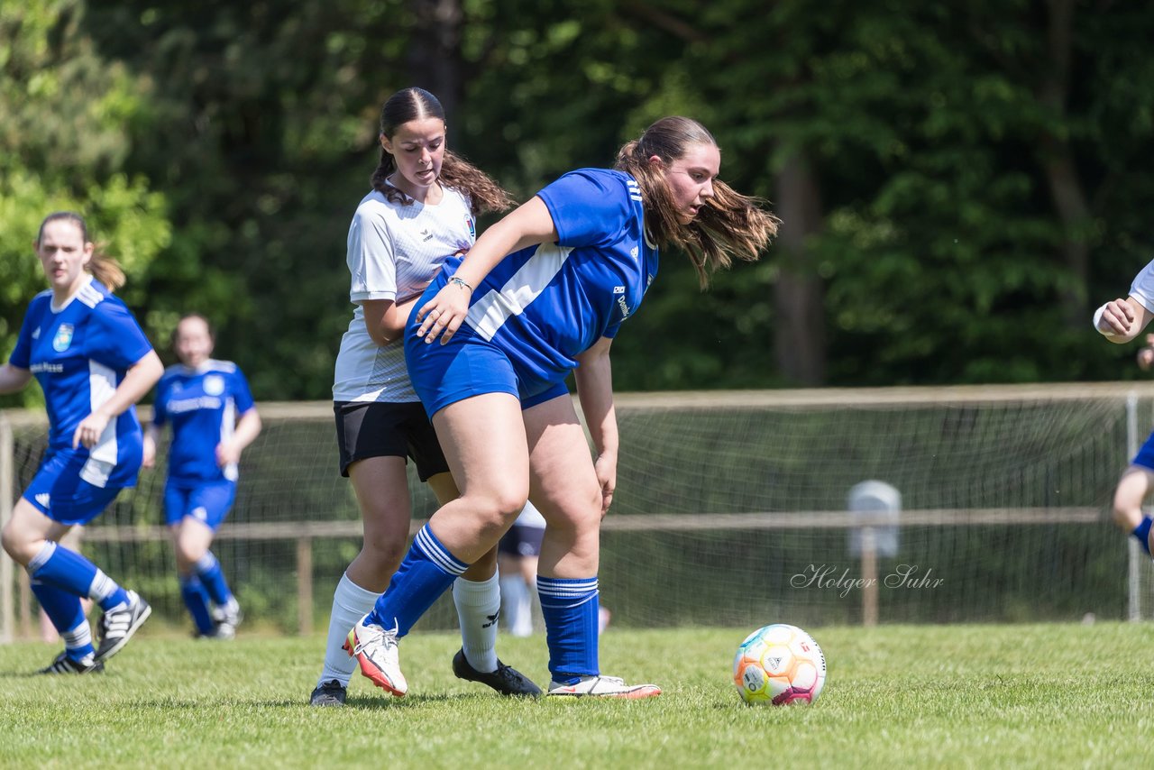 Bild 57 - wBJ VfL Pinneberg - Harksheide : Ergebnis: 2:1